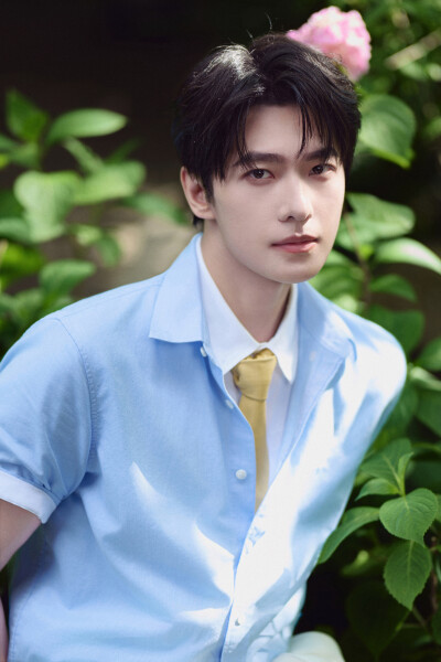 杨洋