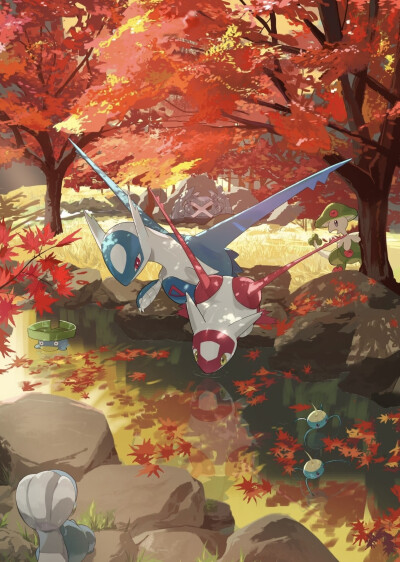 宝可梦