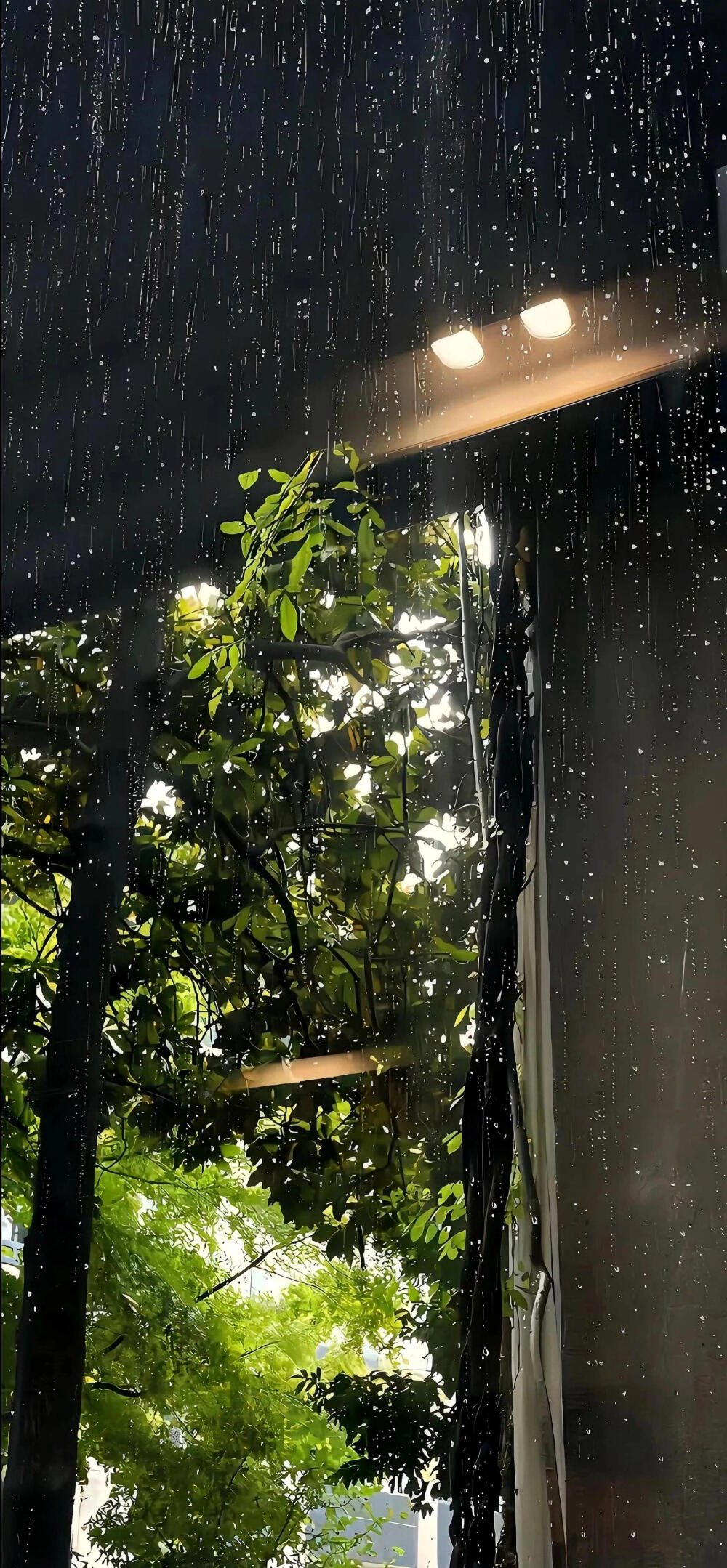 壁纸