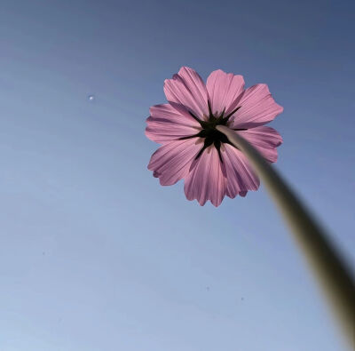 ♡