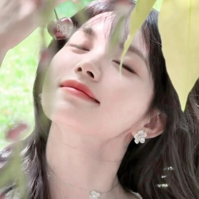 春风一吹想起谁