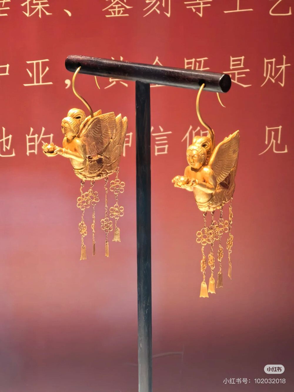璀璨-小红书转载