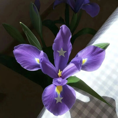 ‎#قدرات خارقة