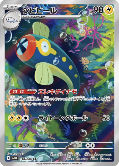 麻麻鳗