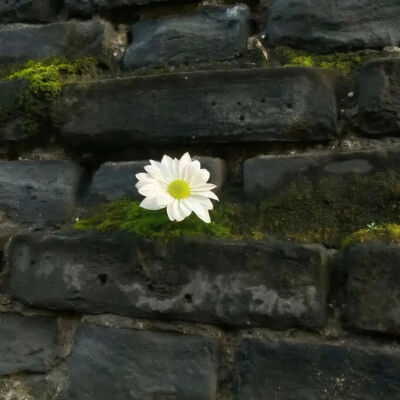 ‎#قدرات خارقة