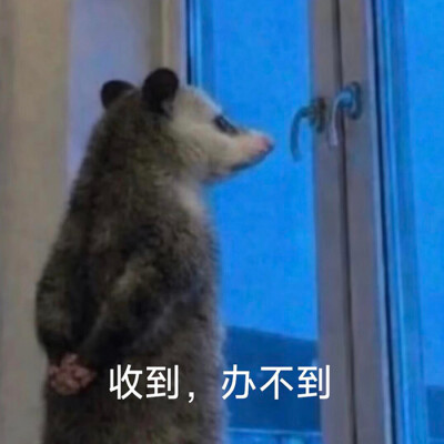 .