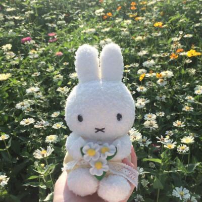 米菲