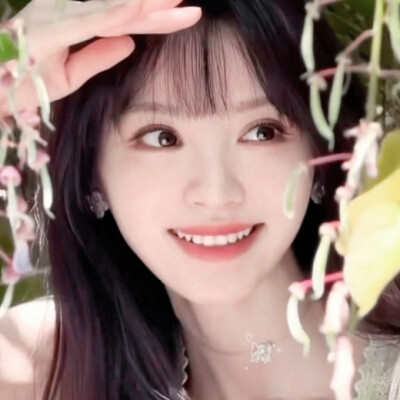 春风一吹想起谁