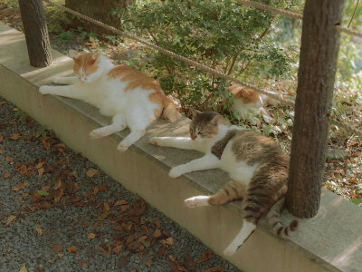 ‎#قدرات خارقة