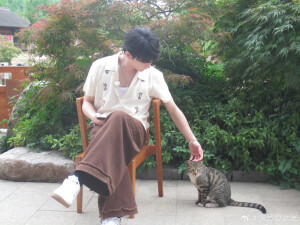 夏之光