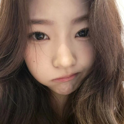 全是给一只猪截的