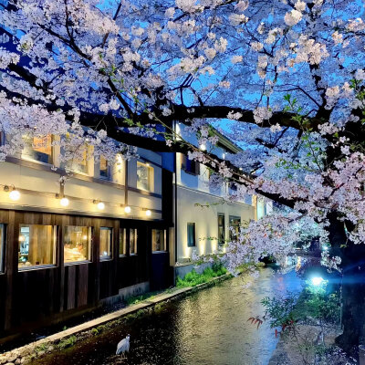 蓝调背景图