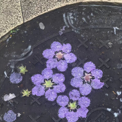 紫色系背景图