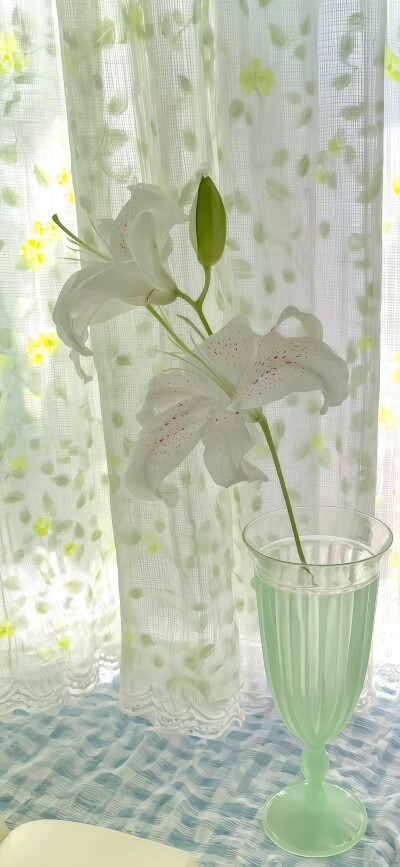 百合花壁纸