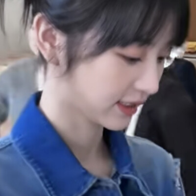 猫猫