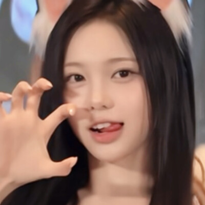 고양이