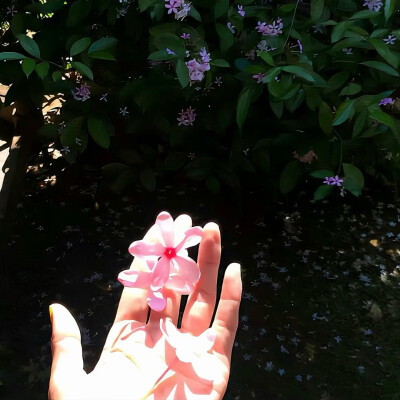 图源ks：偷喝汽水