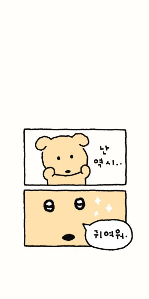 壁纸
