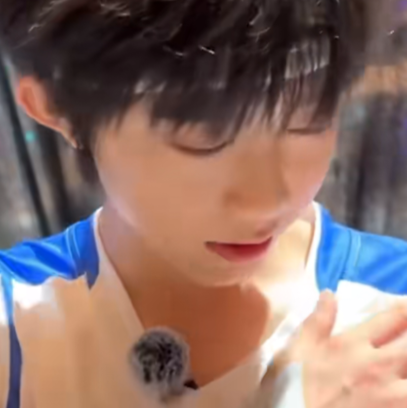 猪比