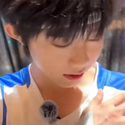 猪比