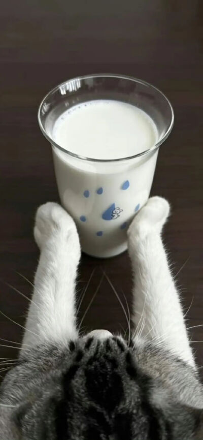 侵删