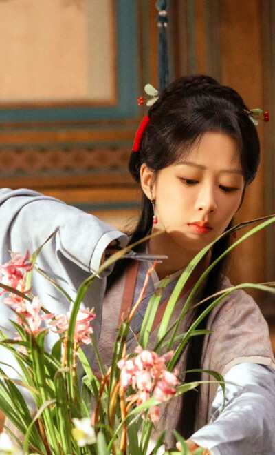 杨紫