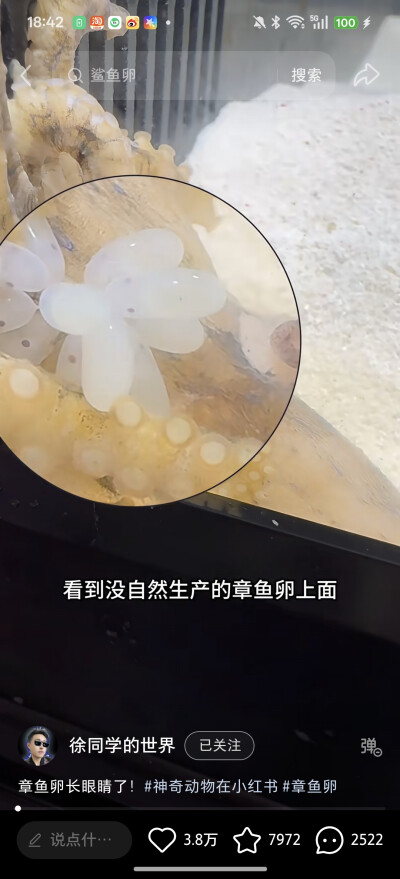 。