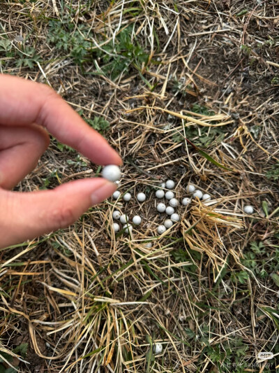 。