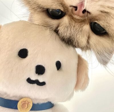 可爱 情头