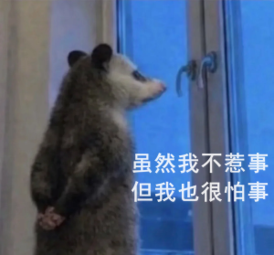 表情包