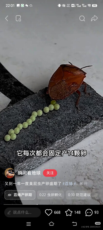 。