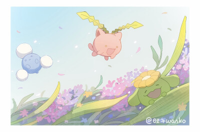 毽子草/毽子花/毽子棉