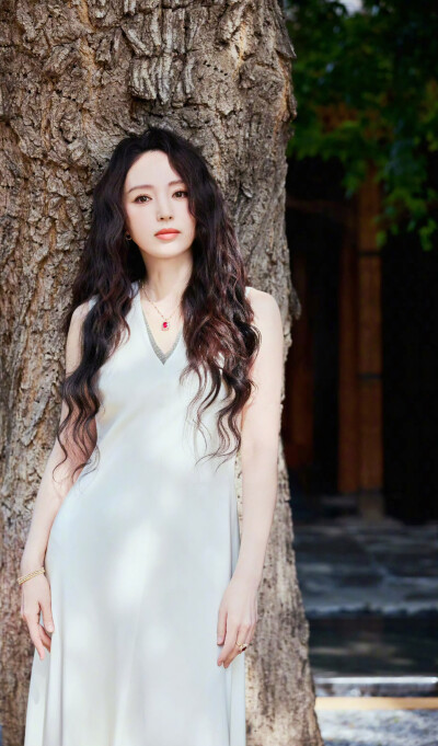 董璇