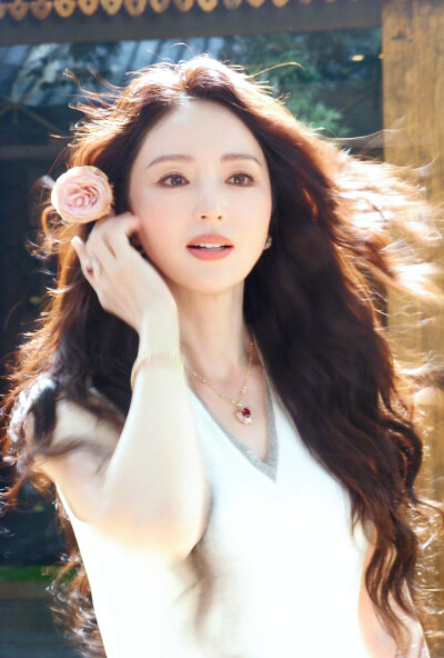 董璇