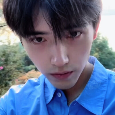 陈飞宇
