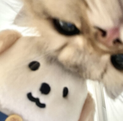 可爱 情头