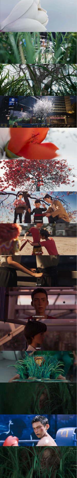 雄狮少年
