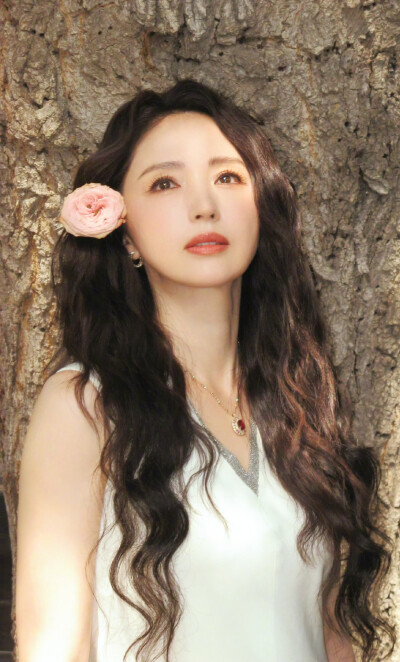 董璇