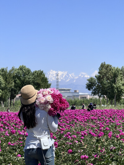 芍药自由