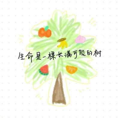 美景收藏