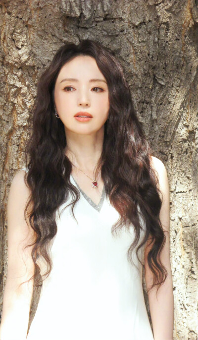 董璇