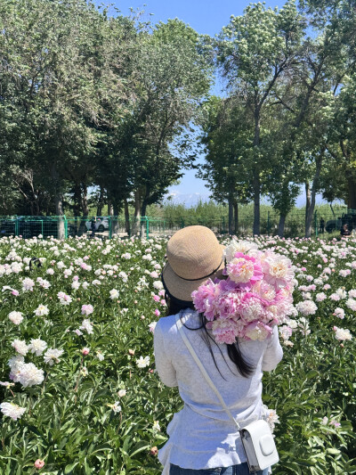 芍药自由