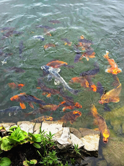 日常
幻梦