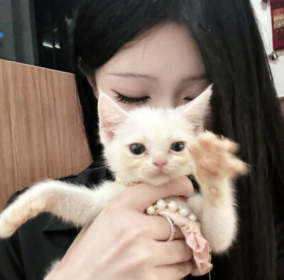 —— 女头＞＜おやすみ.. ——