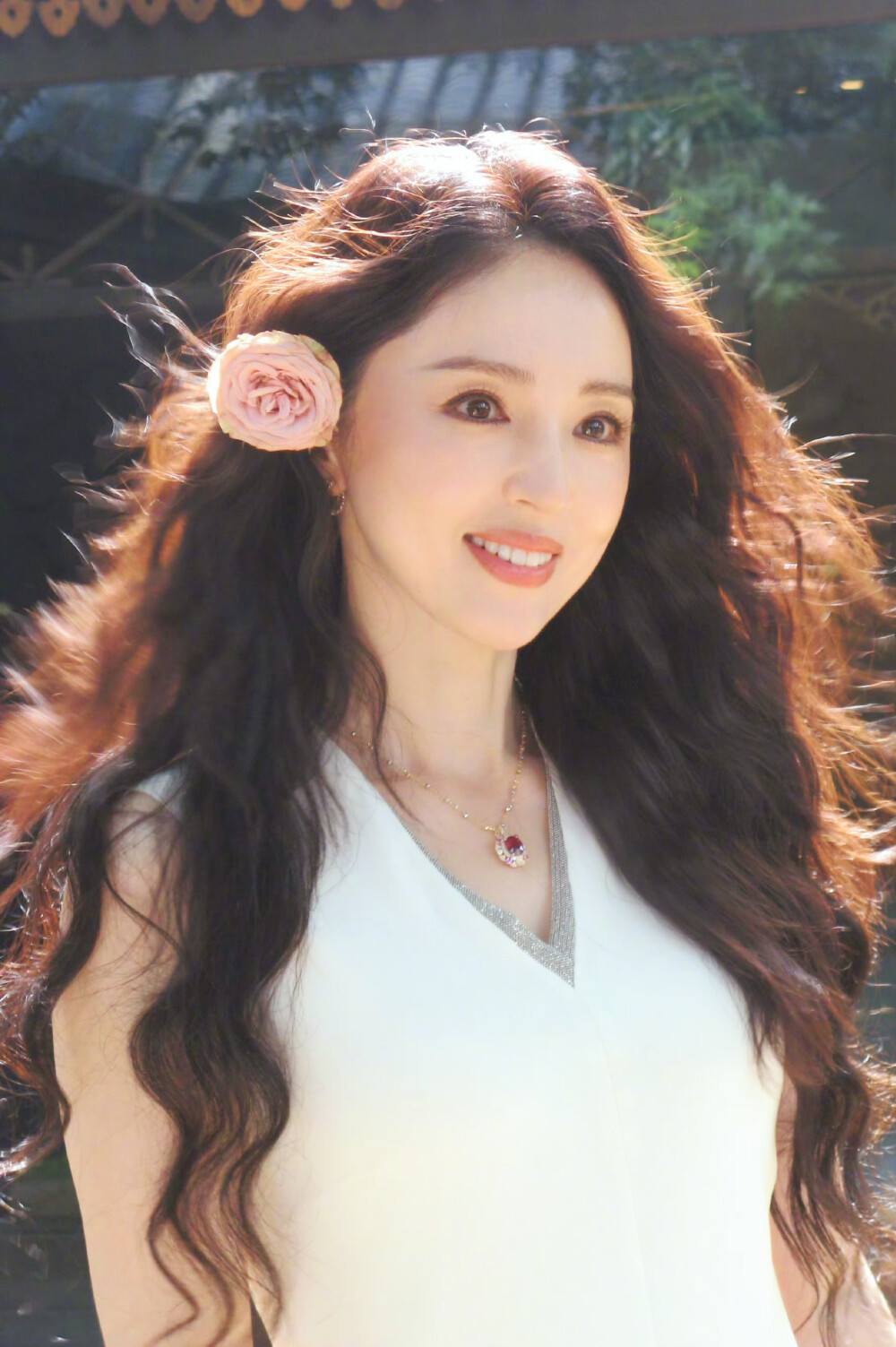 董璇