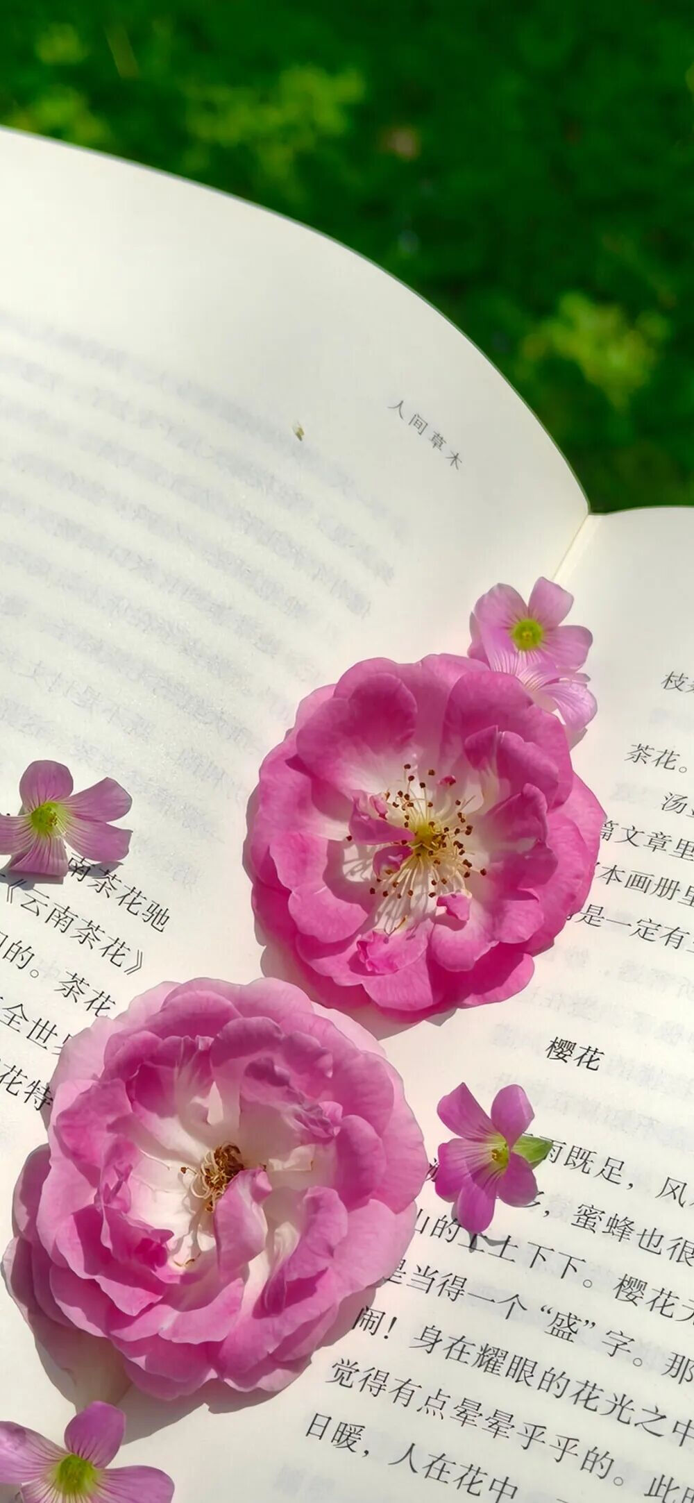 侵删