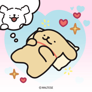 一只狗想着一只狗