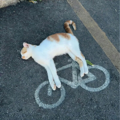 图源ks：偷喝汽水