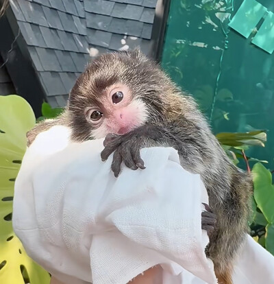 。