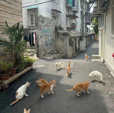 壁纸